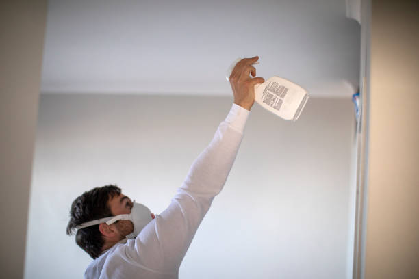 Best Same-Day Mold Removal  in Lakemoor, IL