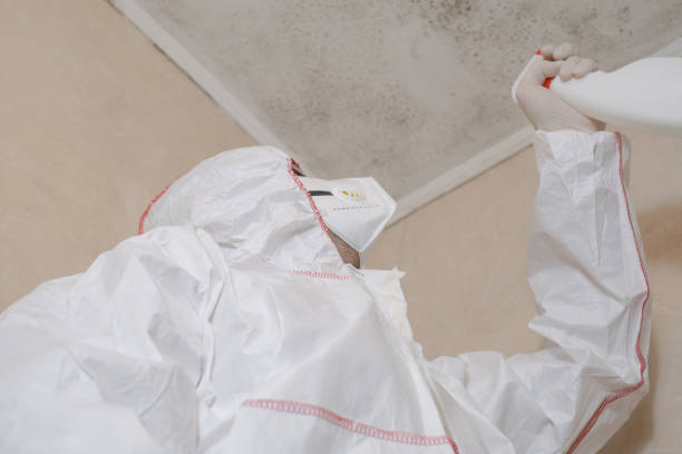 Best Mold Testing  in Lakemoor, IL