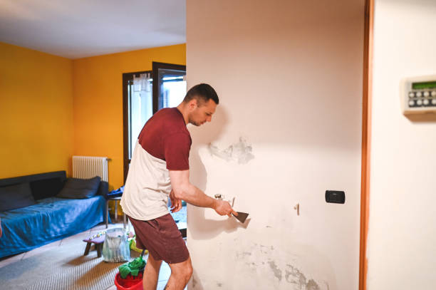 Best Residential Mold Removal  in Lakemoor, IL