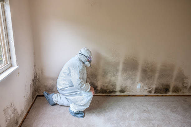 Water Damage Restoration in Lakemoor, IL